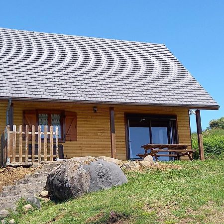 Chalet Sancy Saint-Genes-Champespe Exterior photo